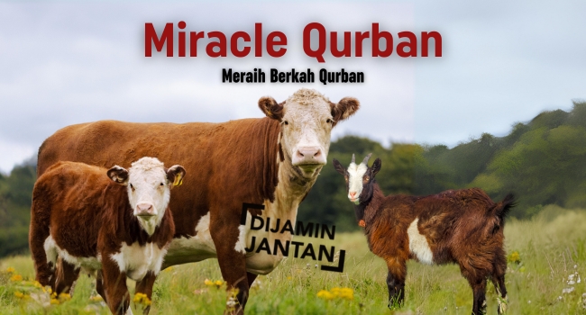 Keajaiban Qurban Insan Mandiri